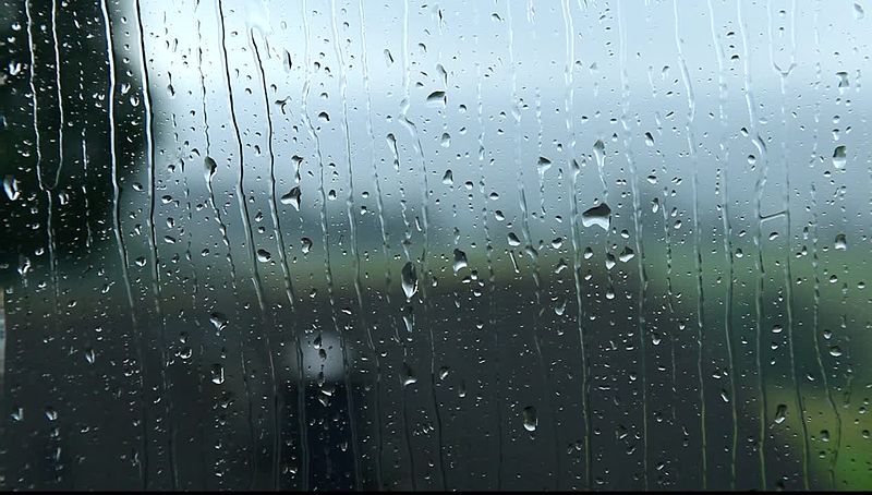 rainy window