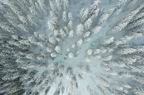 thomas-beckett-Wh5vGRbI6sY-unsplash