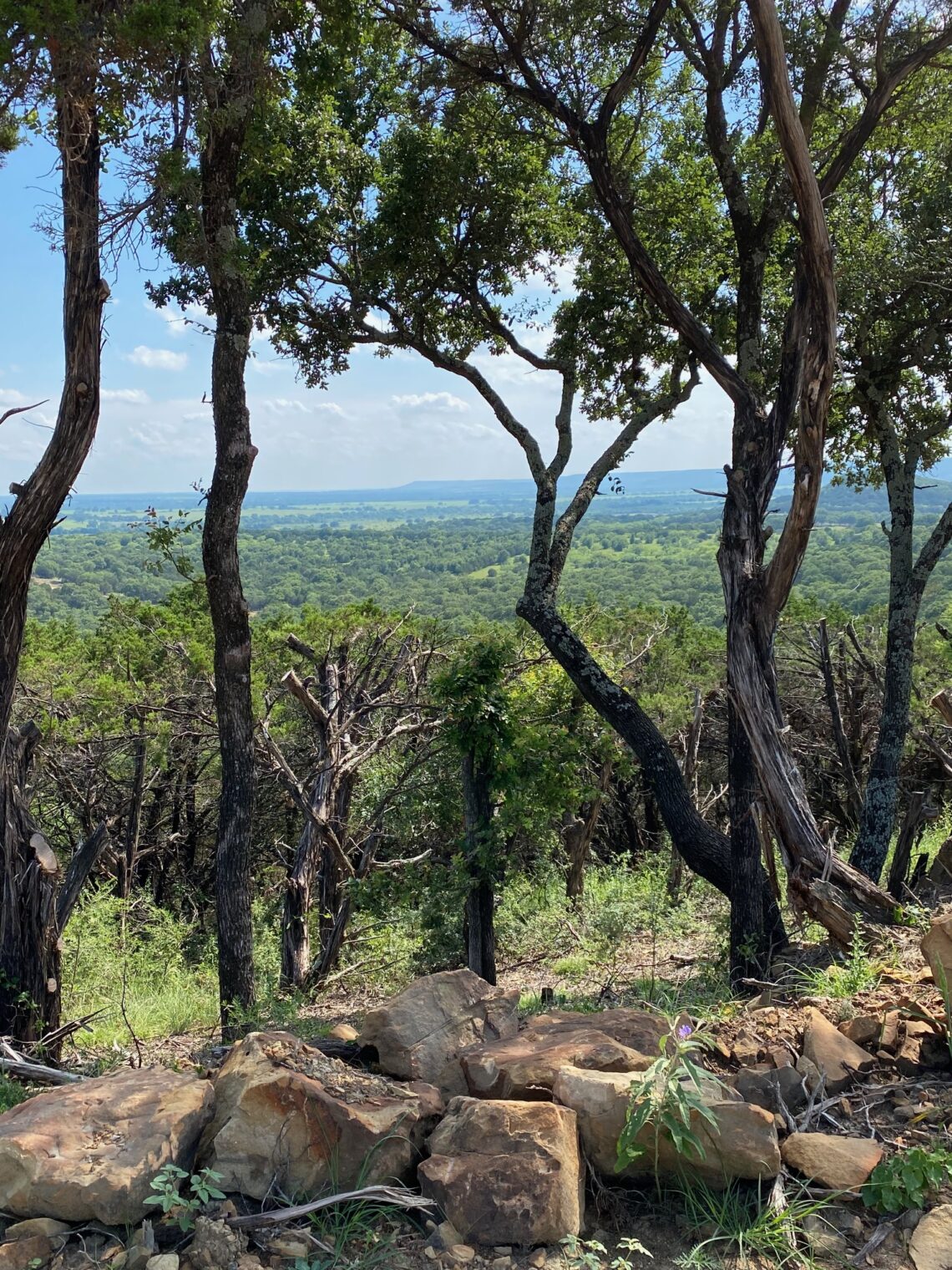 Brazos Mt. Ranch