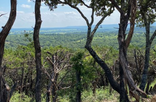 Brazos Mt. Ranch